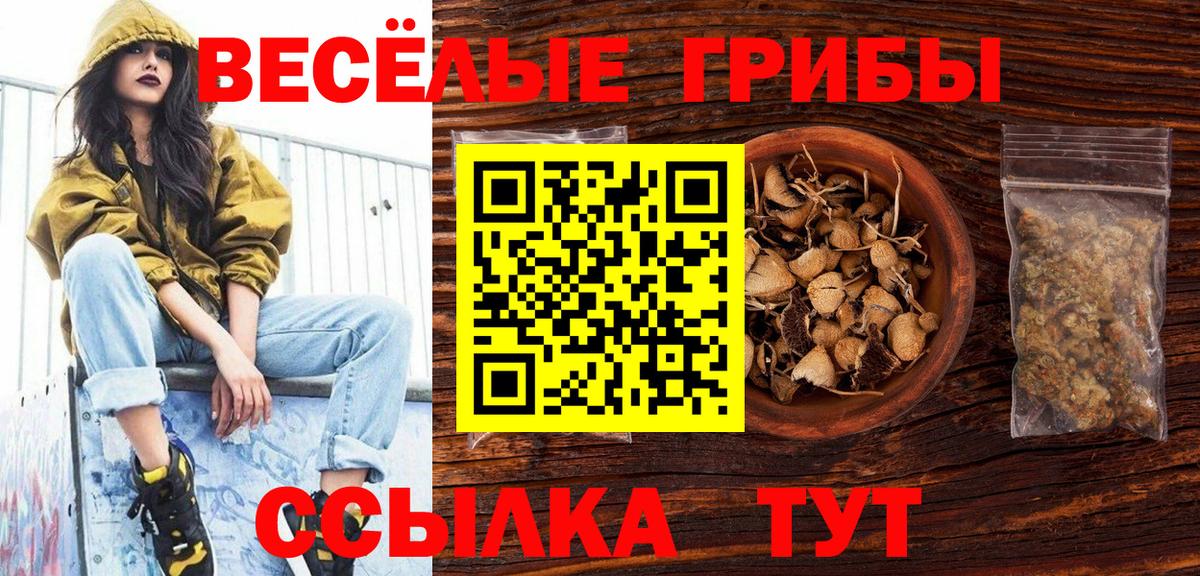 Псилоцибиновые грибы GOLDEN TEACHER Сланцы
