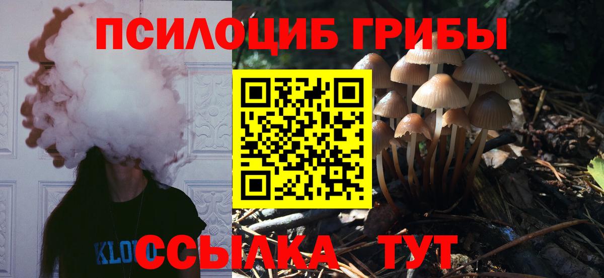 Сланцы  Псилоцибиновые грибы Psilocybine cubensis  Вход с VPN 